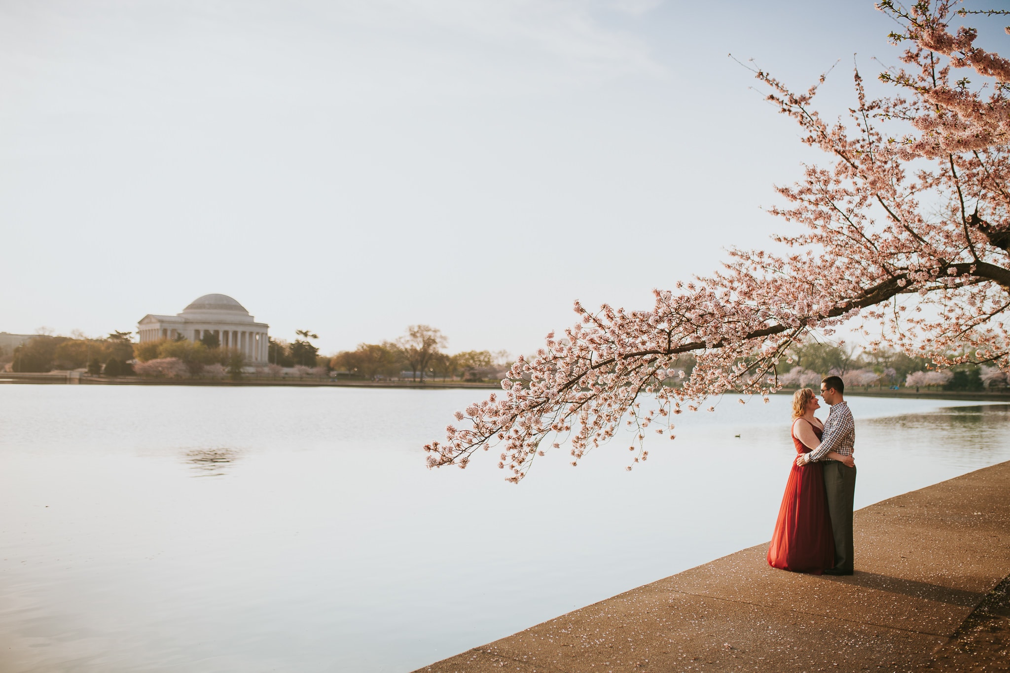 wedding photos in dc cherry blossoms