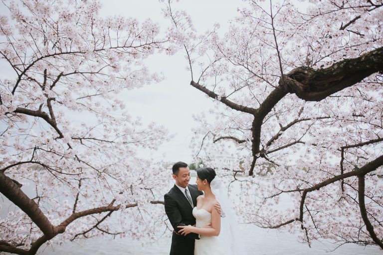 Cherry Blossom Wedding – Washington DC